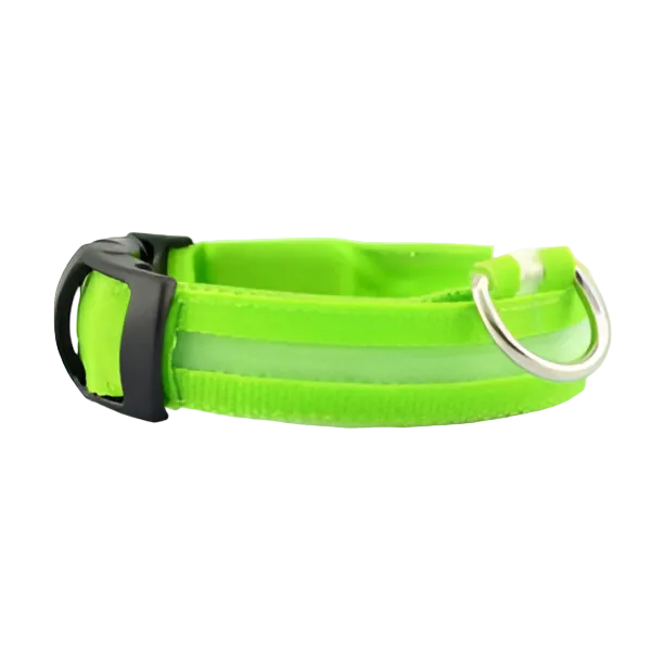 Green reflective dog collar with adjustable buckle and metal D-ring for leash attachment