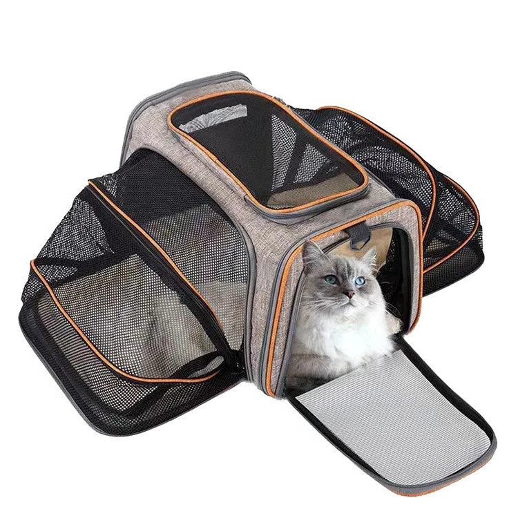 Grey expandable mesh pet carrier with orange trim, breathable side panels and a cat sitting inside the open front entry