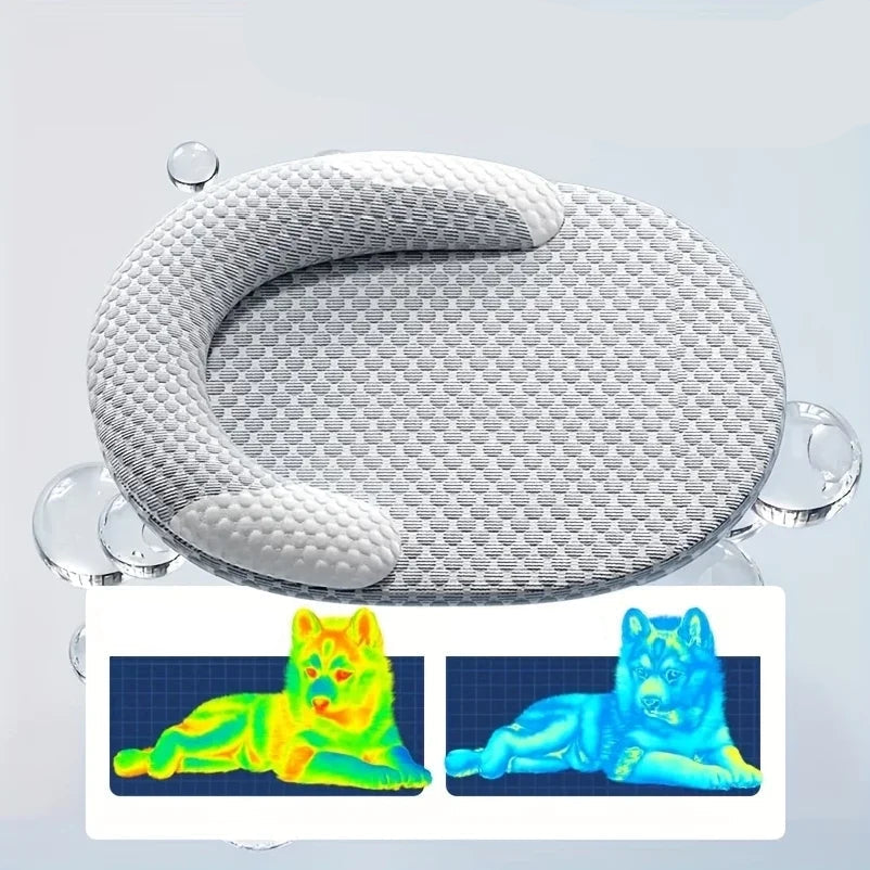 Grey cat resting on a round cushioned pet bed with raised sides and textured fabric