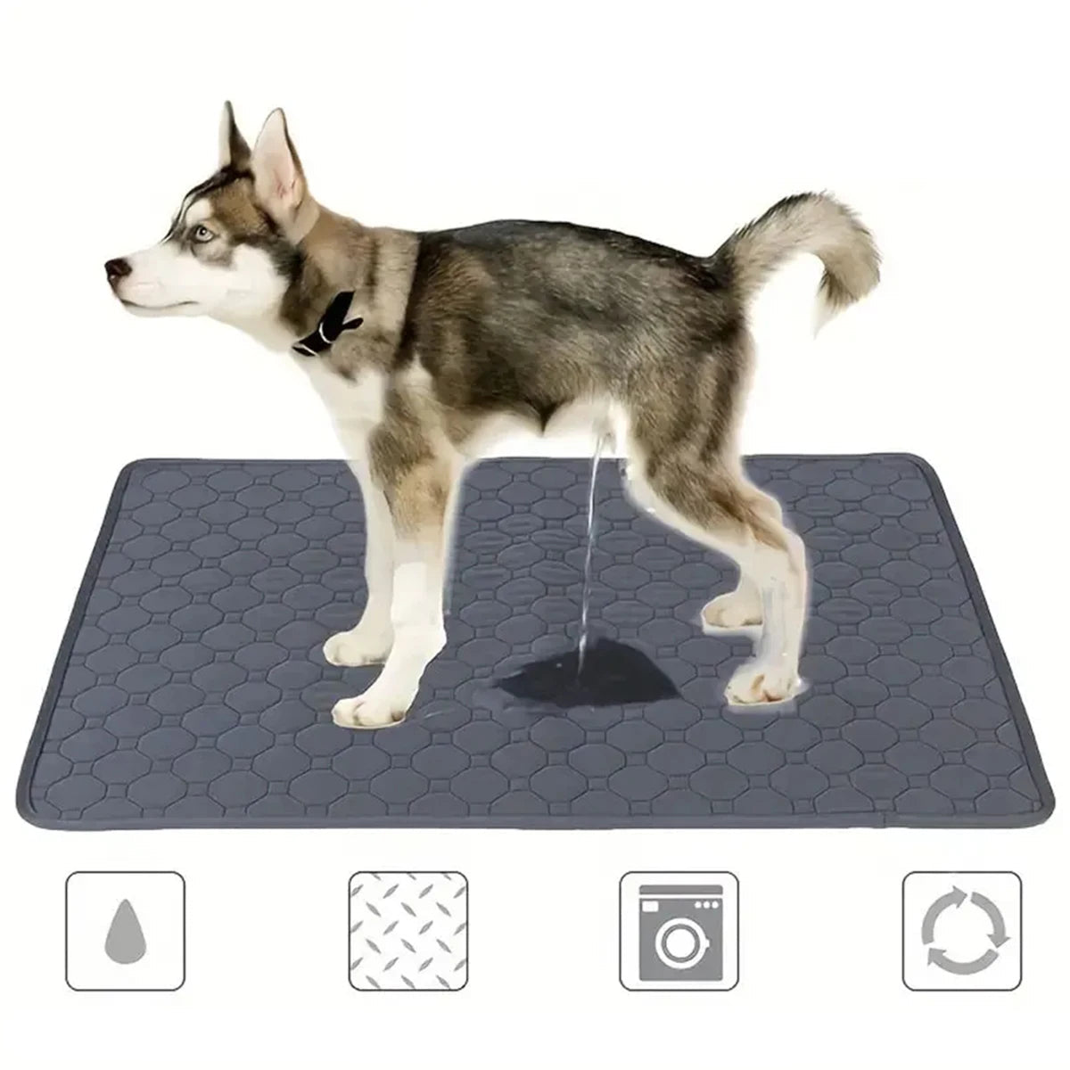 Husky standing on a grey washable dog pee pad with absorbent quilted surface and non-slip backing