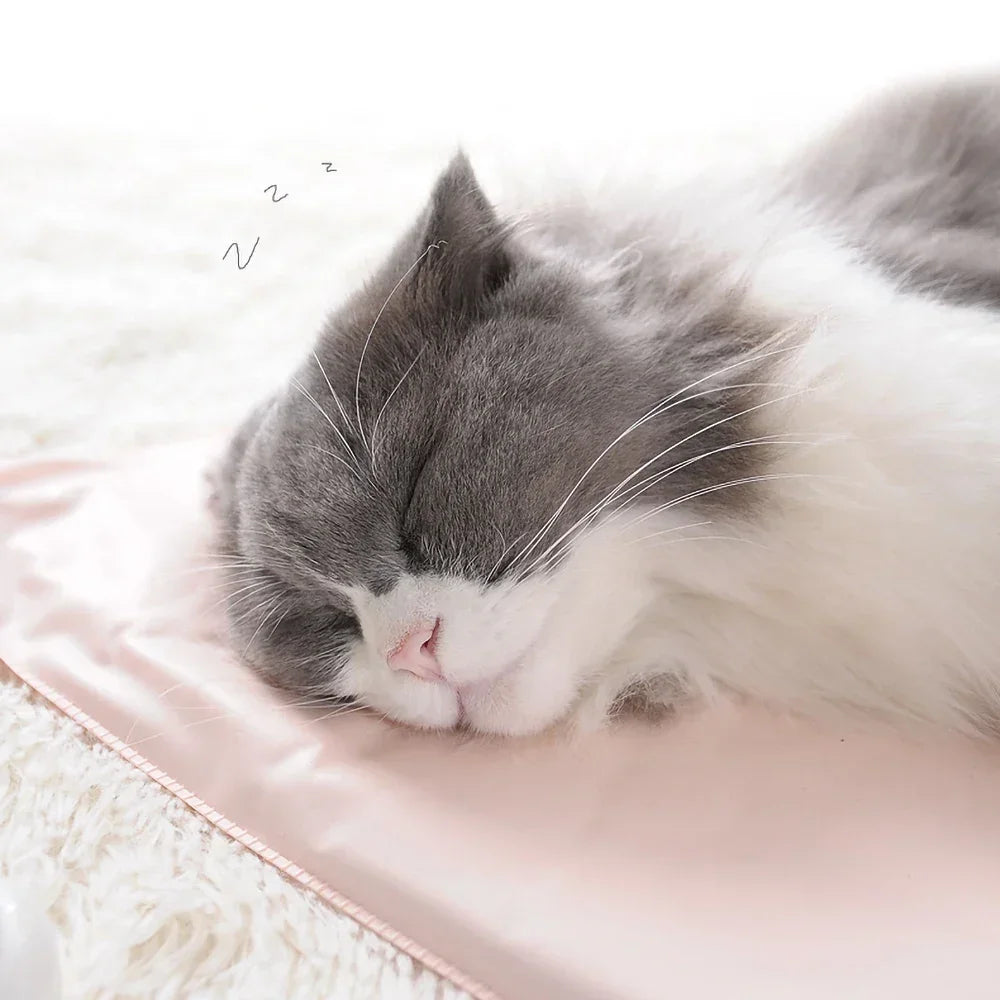 Grey and white cat sleeping on a soft pink heated pet mat