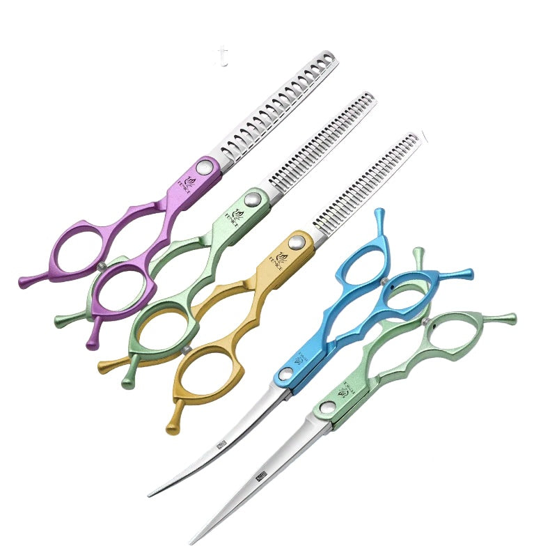 Grooming scissors set for dogs, five coloured straight, curved and thinning shears on a plain white background