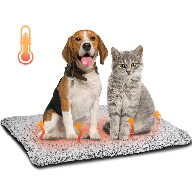 Dog and cat sitting on a heated pet mat with heat indicators showing the warming area