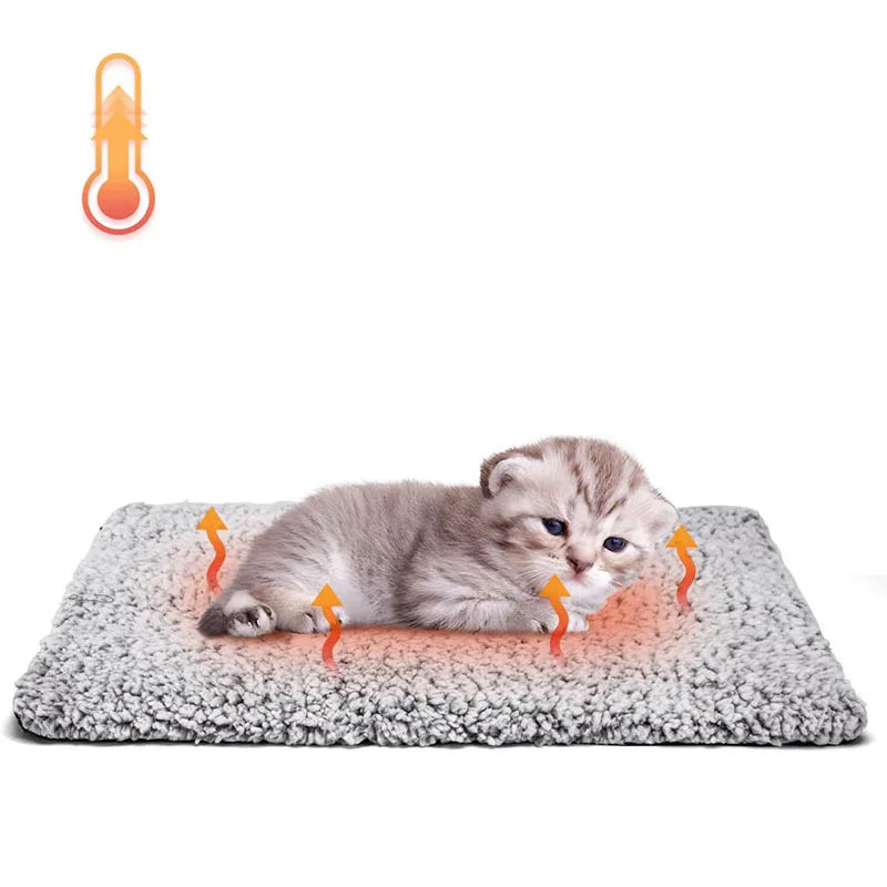 Grey kitten lying on a soft self-warming pet mat with heat-retaining design