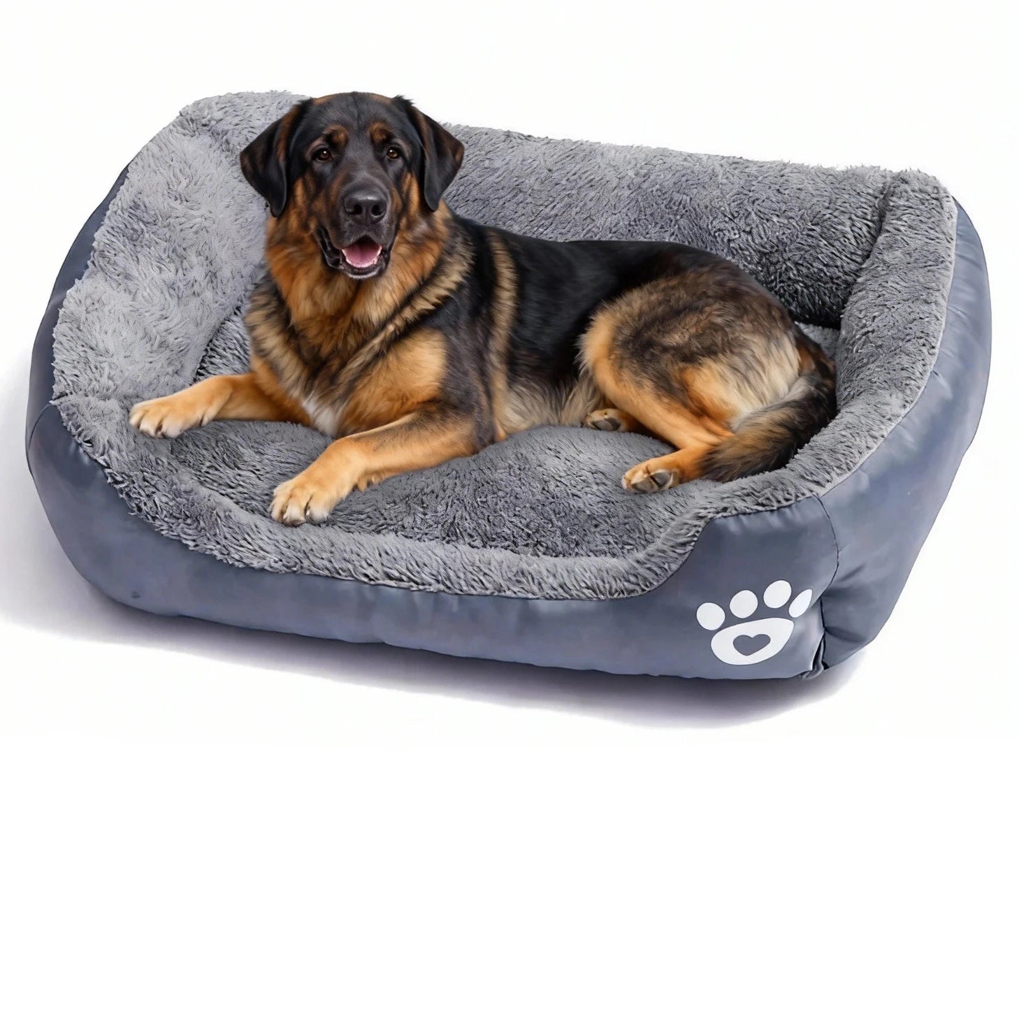 Large dog resting on a grey bolster dog bed with soft plush lining, raised sides and multiple colour options