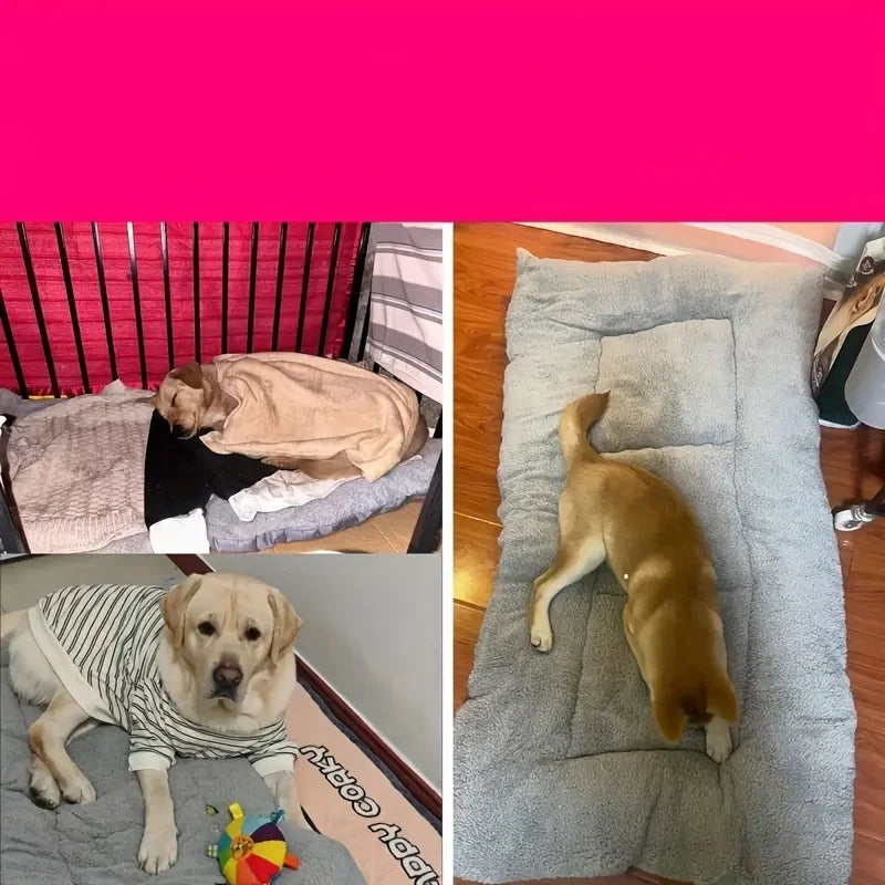 Dogs resting on a large grey plush dog bed with raised cushioned sides and padded sleeping surface