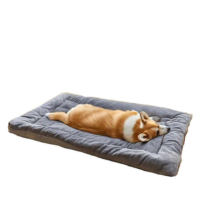 Corgi sleeping on a large grey plush dog bed with raised cushioned edges