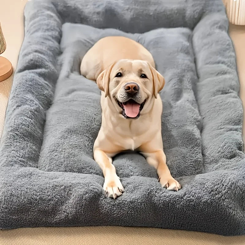 Labrador resting on a large grey plush dog bed with raised cushioned sides
