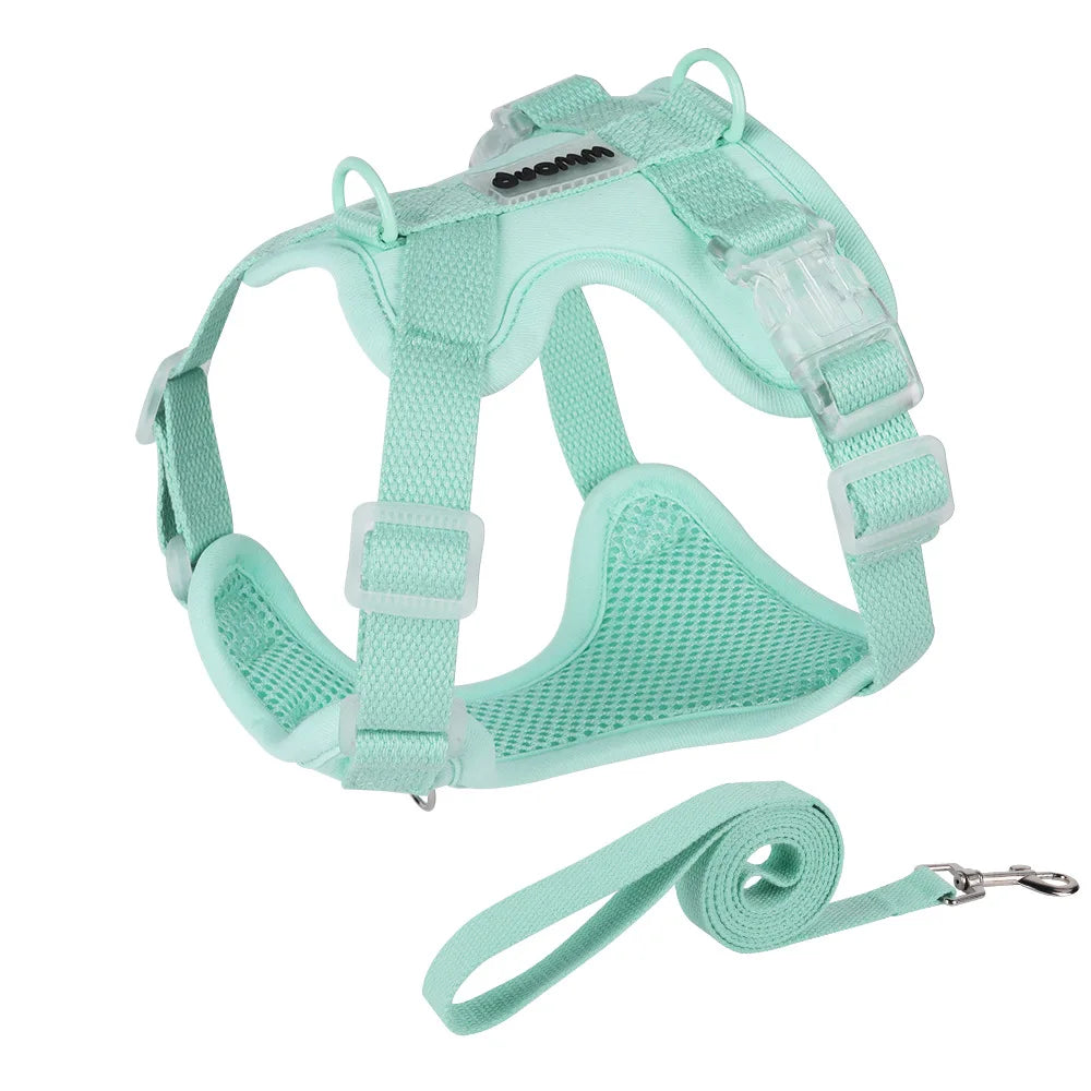 Mint green adjustable mesh dog harness with padded chest support, clear buckles, metal leash rings and matching leash