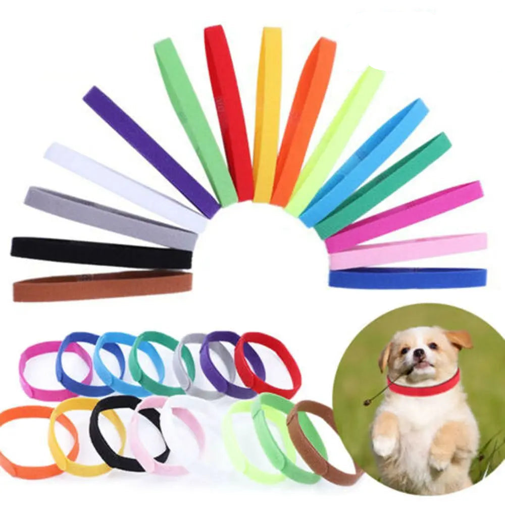 Set of multicolour puppy identification collars for whelping litters, shown with a puppy wearing a red collar