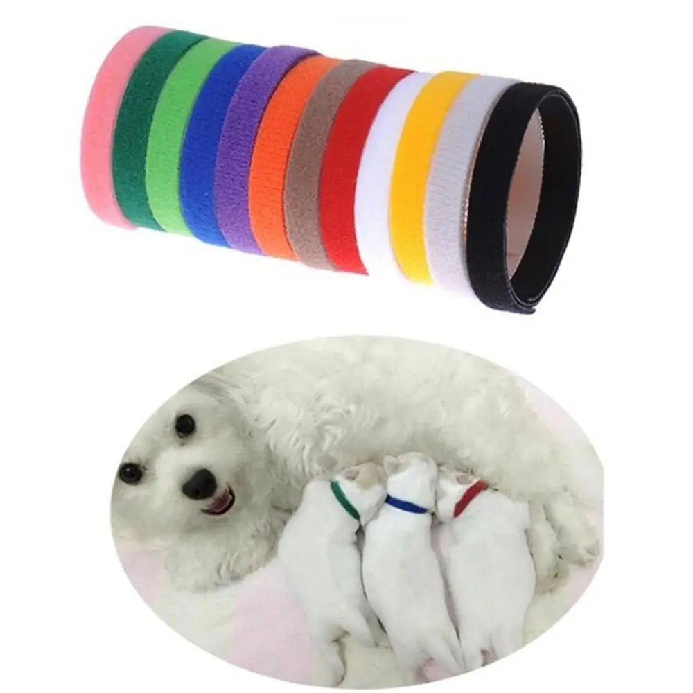 multicolour-adjustable-puppy-identification-collars-whelping