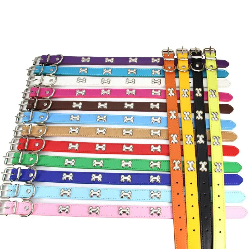 Assorted multicolour dog collars with silver bone-shaped studs and adjustable buckle fastenings