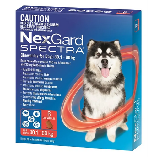 Nexgard Spectra For Dogs 30.1kg - 60kg (6 Chew Tablets), part of the RPBA Shop range for dogs
