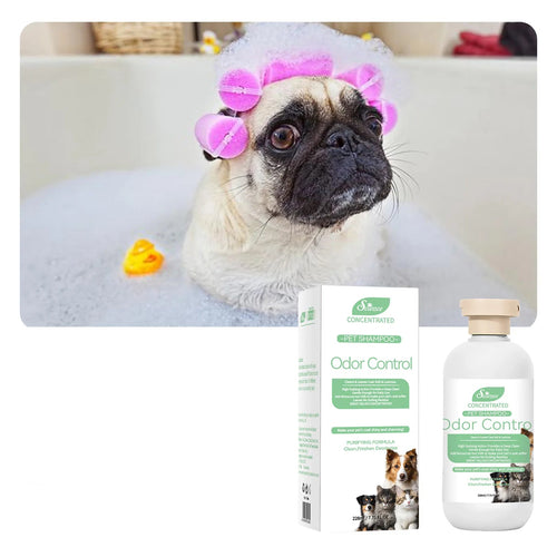 Whitening pet shampoo for dogs and cats in 228ml bottle with product box, formulated to brighten white coats and enhance colour