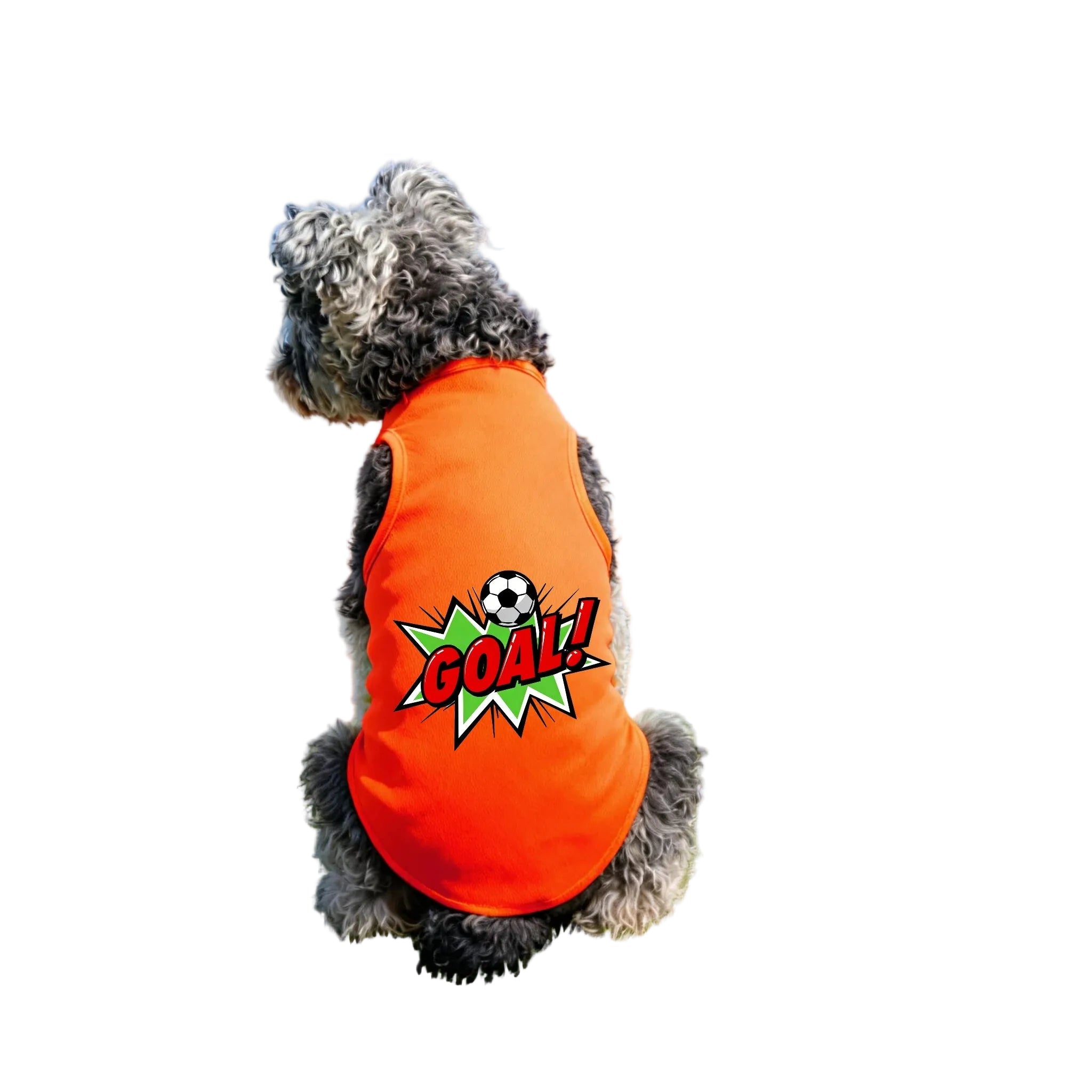 Small dog wearing a bright orange dog shirt with a soccer ball and GOAL graphic on the back