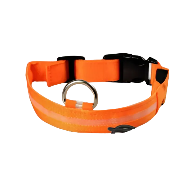 Orange reflective dog collar with adjustable buckle, reflective strip and metal D-ring for leash attachment