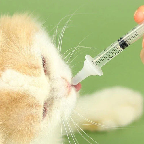 Premium Cat Birthing Queening Kit available from RPBA Shop