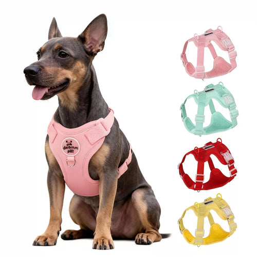 Pink adjustable mesh dog harness with padded chest support, clear buckles, metal leash rings and matching pink leash