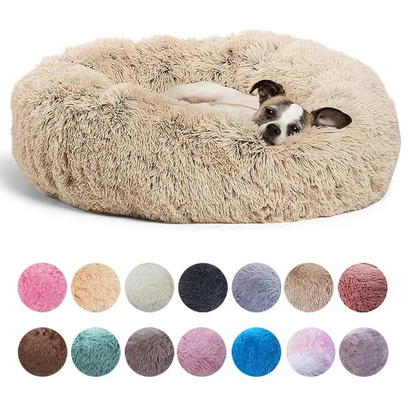 Small dog resting in a cream plush donut bed with soft raised sides and multiple colour options shown below