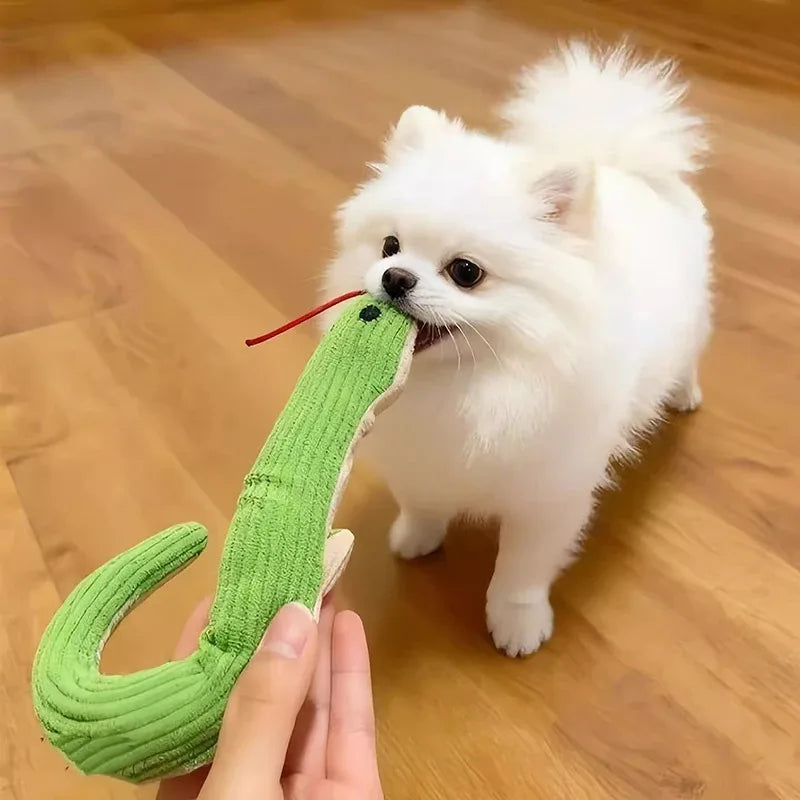 Pomeranian playing tug with a green plush snake dog toy with ribbed fabric and red tongue