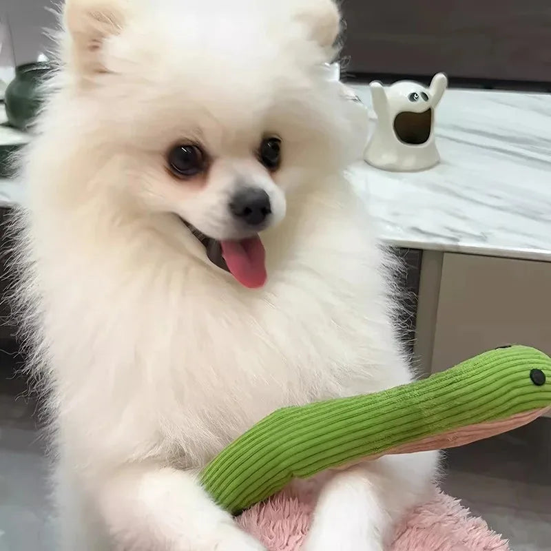 White Pomeranian sitting with a green plush snake dog toy made from soft ribbed fabric