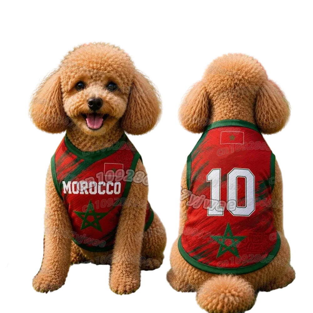 Poodle wearing a red and green Morocco dog soccer jersey with number 10, shown from the front and back