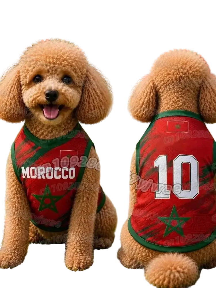 Poodle wearing a red and green Morocco dog soccer jersey with number 10, shown from the front and back