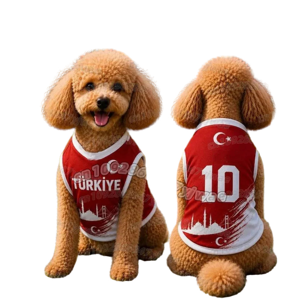 Poodle wearing a red Türkiye dog soccer jersey with number 10, shown from the front and back