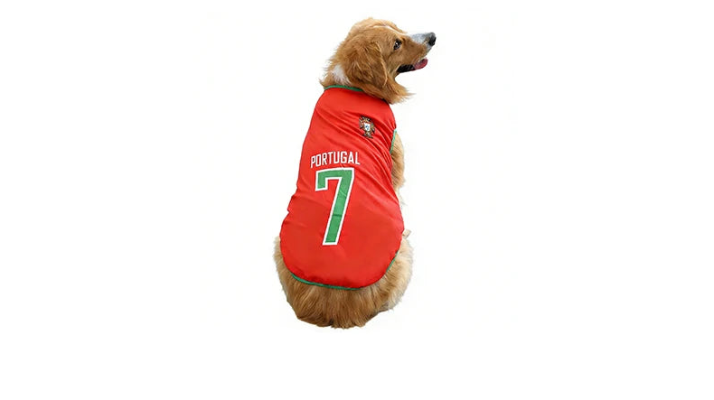 Golden-coloured dog wearing a red Portugal soccer jersey with green trim and number 7 on the back
