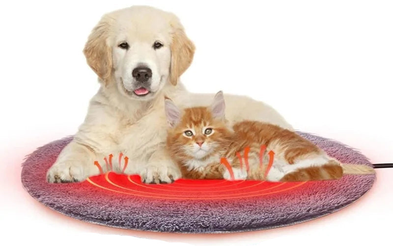 Golden Retriever puppy and orange tabby kitten resting together on a round electric heated pet mat