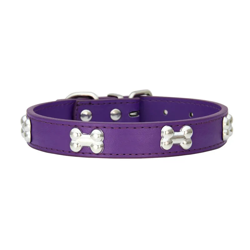 Purple dog collar with silver bone-shaped studs and adjustable buckle fastening