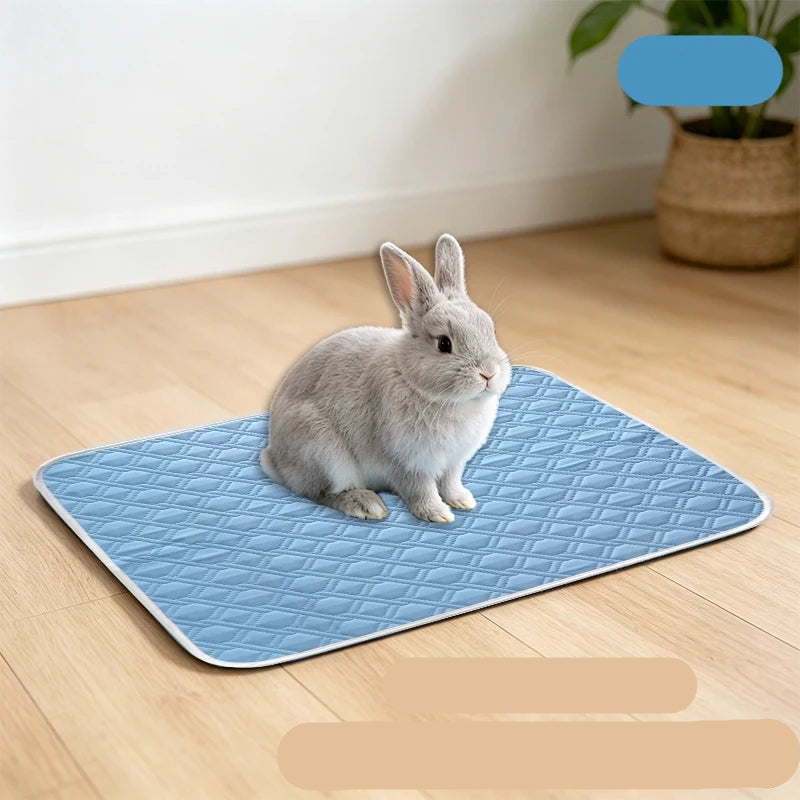 Grey rabbit sitting on a blue quilted pet cooling mat on a wooden floor