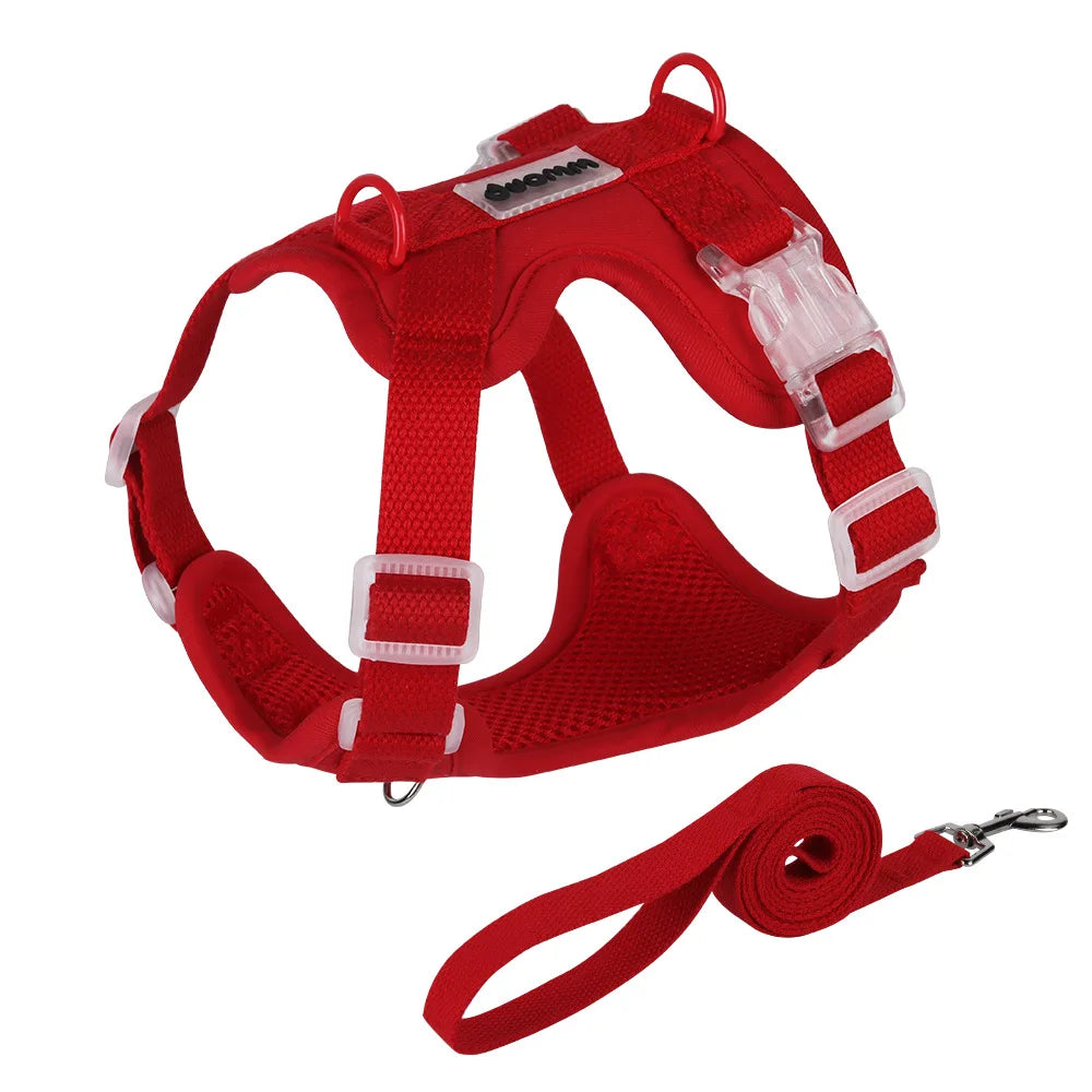 Red adjustable mesh dog harness with padded chest support, clear buckles, metal leash rings and matching red leash