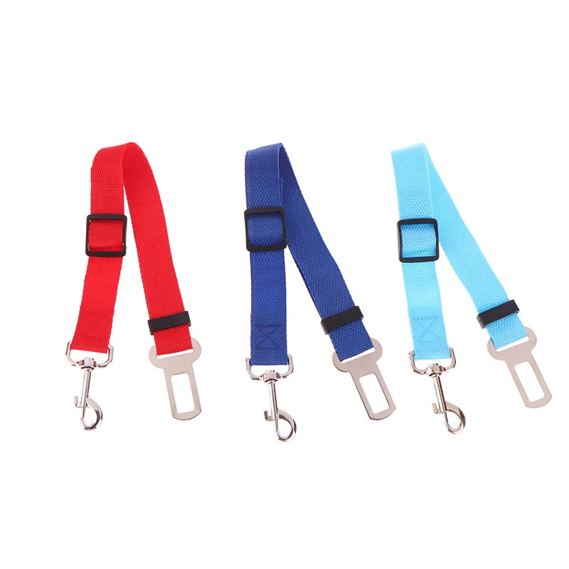 Red blue and light blue dog car seat belt tethers