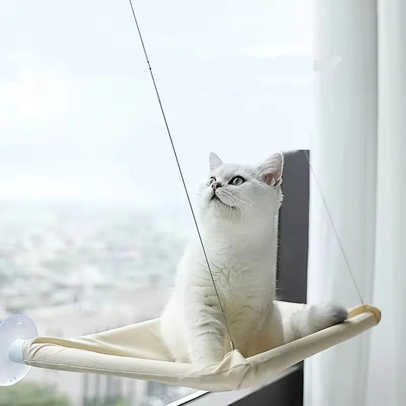 A cat sitting on the khaki hammock mounted to a window