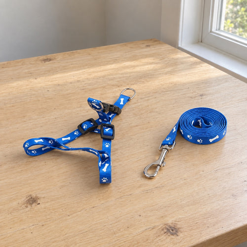Small blue paw print puppy harness and matching lead with white paw and bone pattern