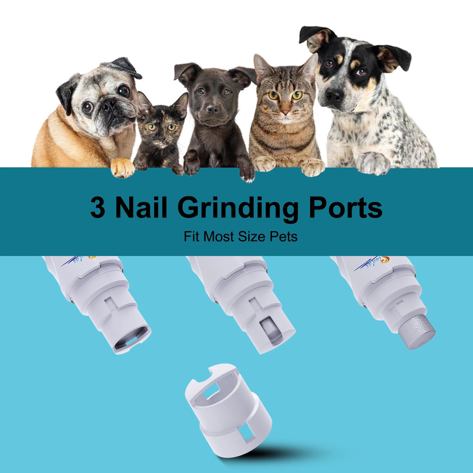 Two speed control button on the dog nail grinder body
