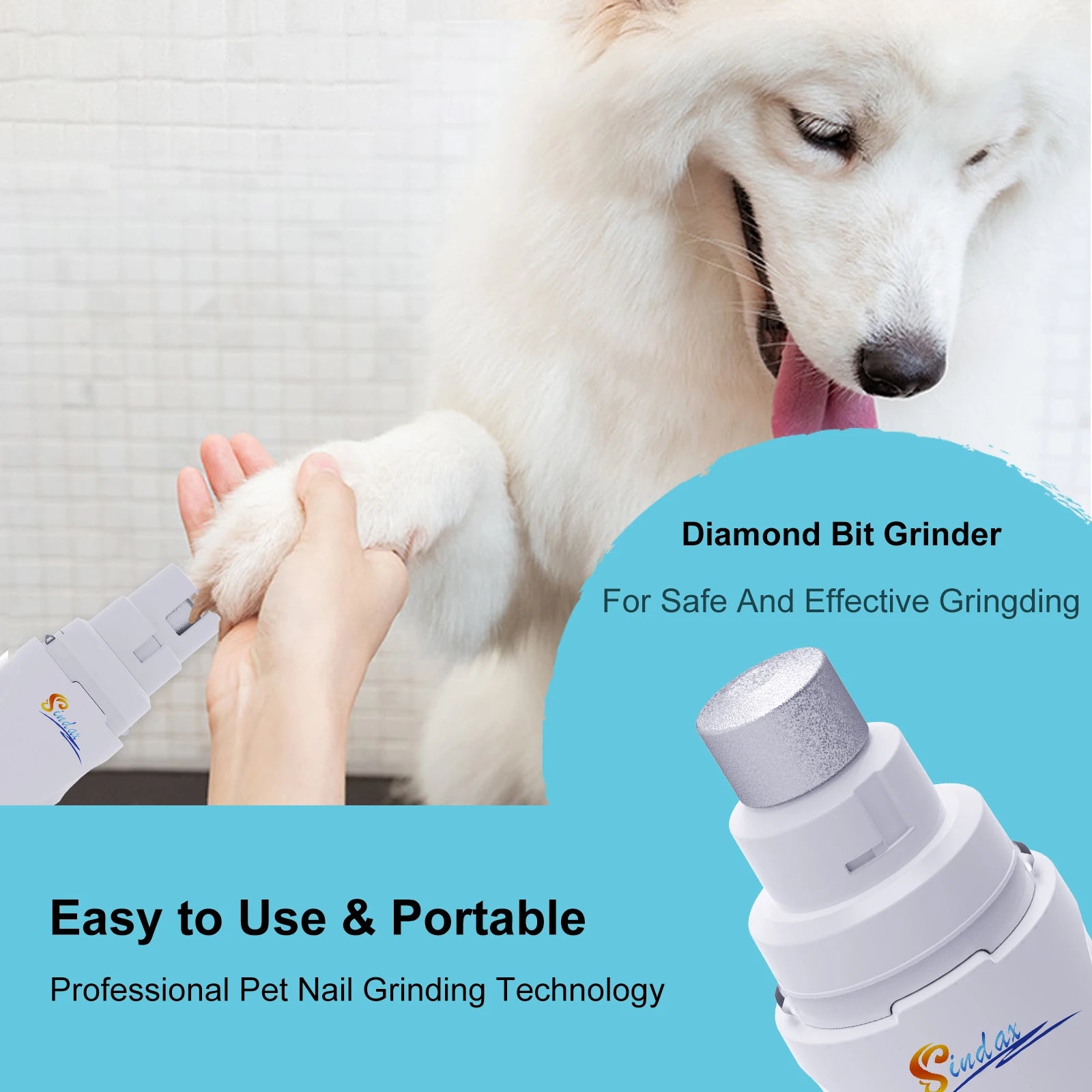 Labrador lying calmly while a front nail is ground down