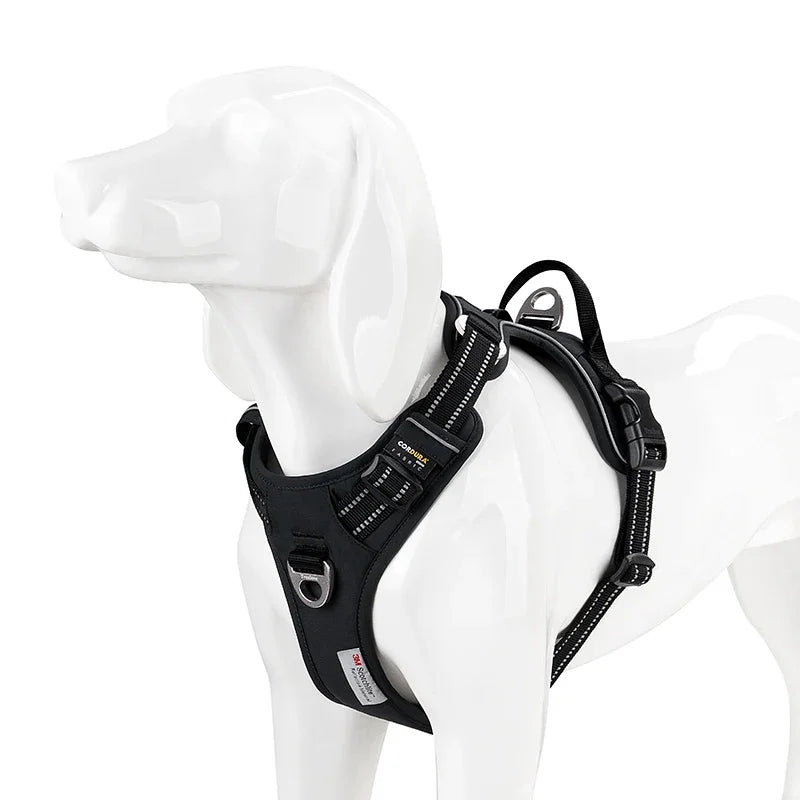Dog wearing the padded dog travel harness in black