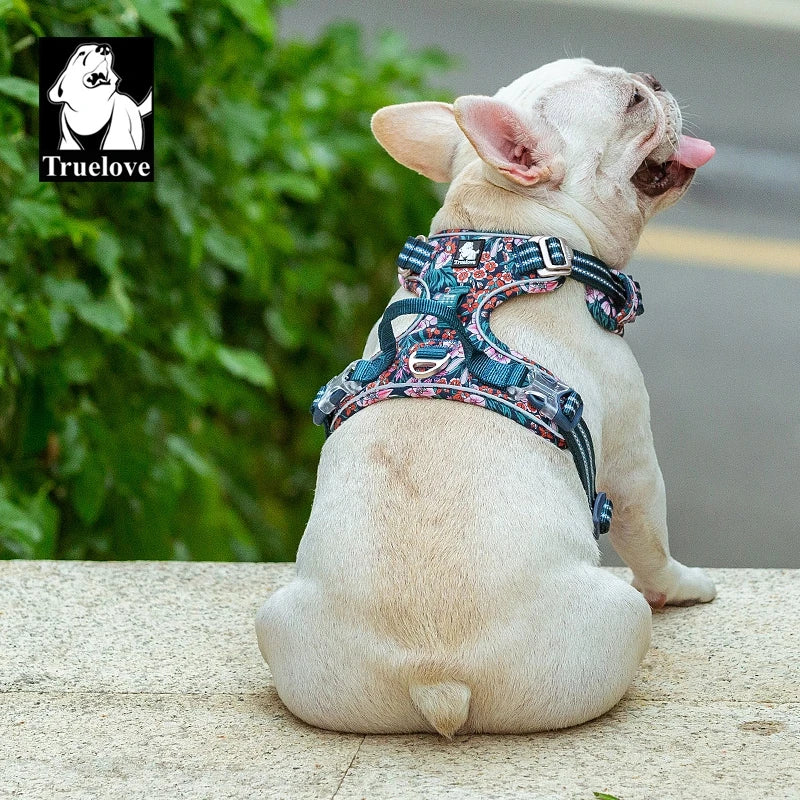 Dog wearing the patterned dog travel harness