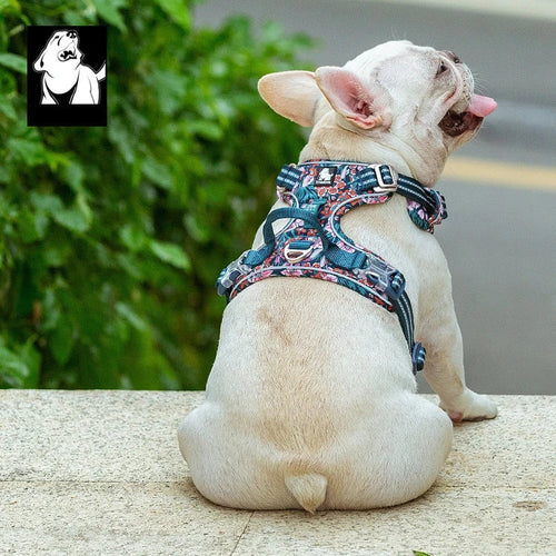 Patterned dog travel harness in floral navy, front view on white