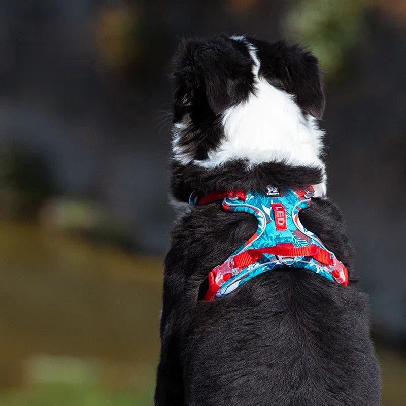 Patterned dog travel harness, front view