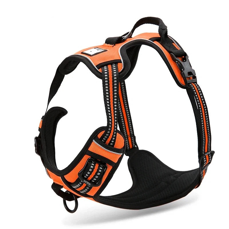 Reflective dog training harness, front view