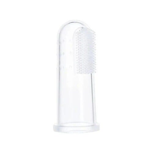 Clear silicone finger toothbrush standing upright on a white background, showing the soft nubbed brushing panel