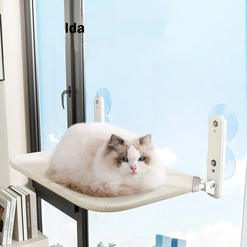 A white cat resting on the suction cup window hammock
