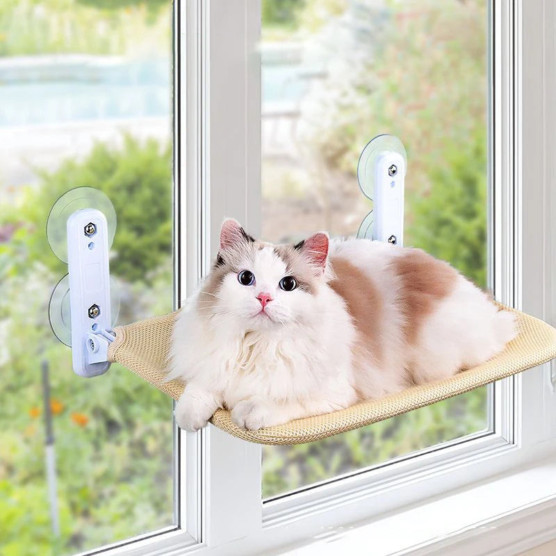 A cat sitting on the hammock at a sunny window