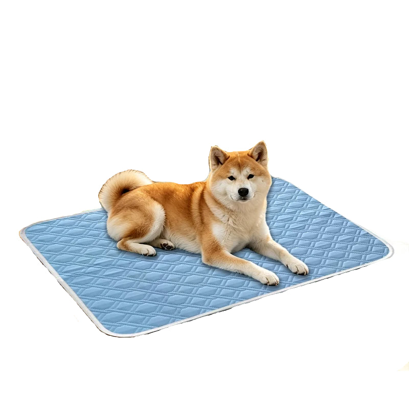 Shiba Inu lying on a blue quilted pet cooling mat