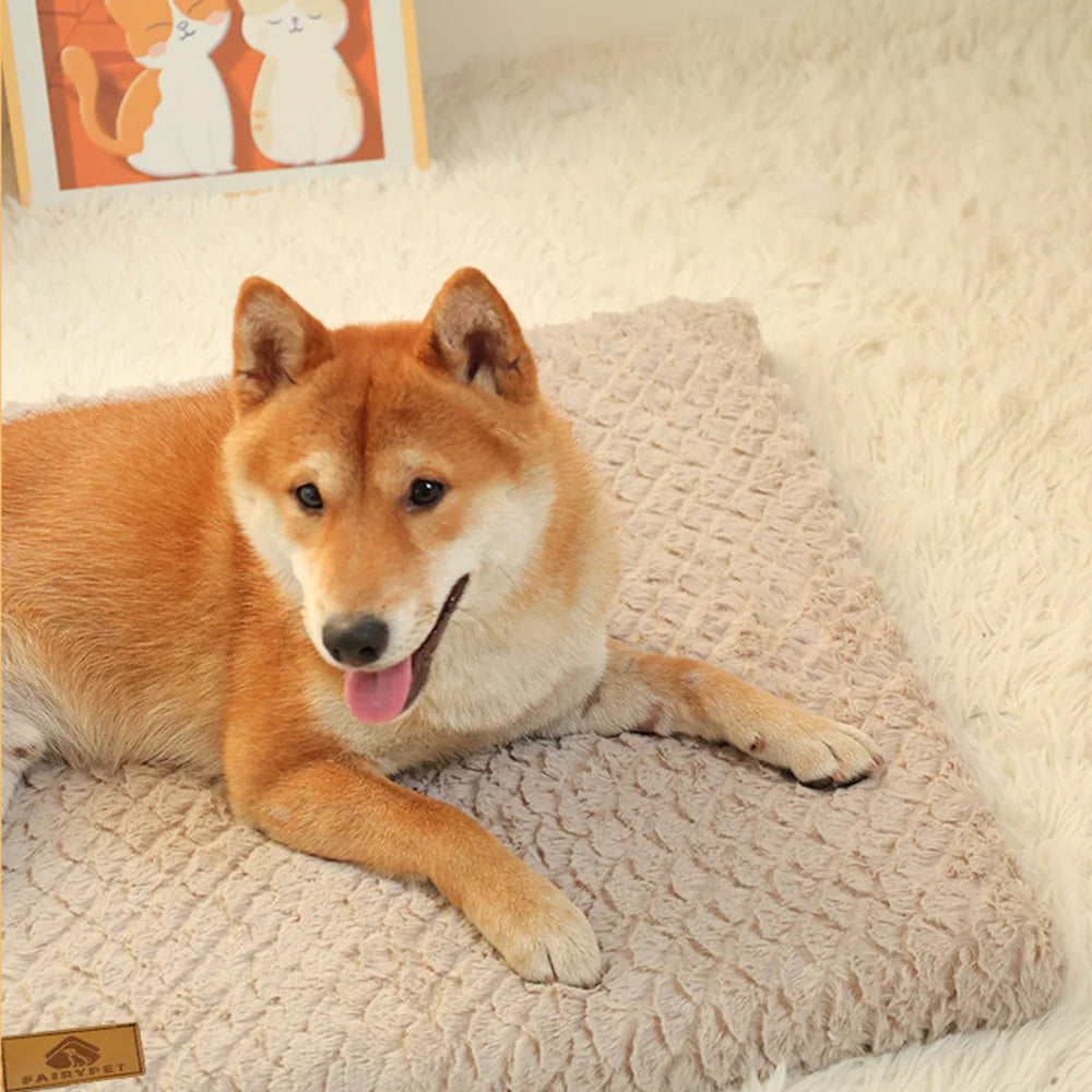 Dog sleeping on a brown plush dog bed mat with a soft cushioned surface