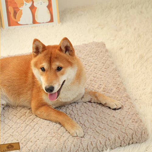Dog sleeping on a brown plush dog bed mat with a soft cushioned surface
