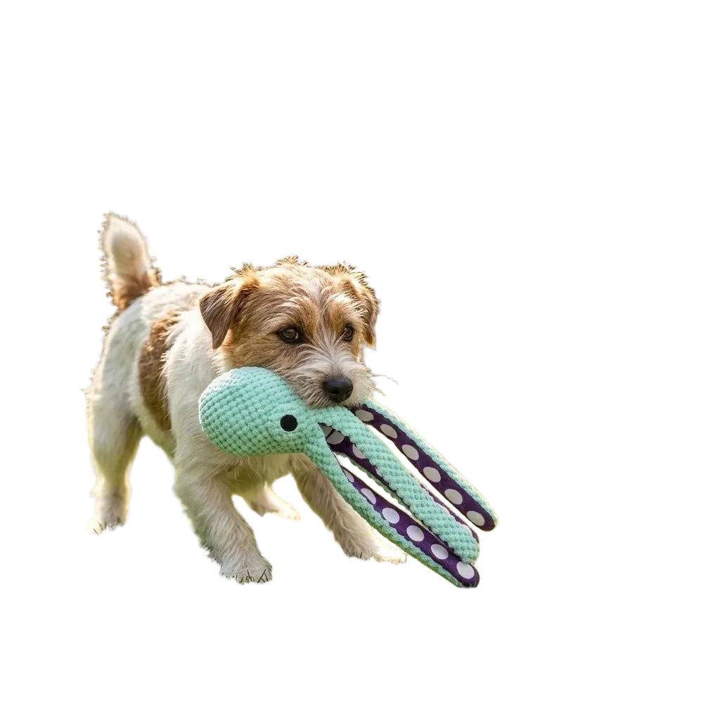 Small dog carrying a green plush octopus dog toy with purple polka dot tentacles